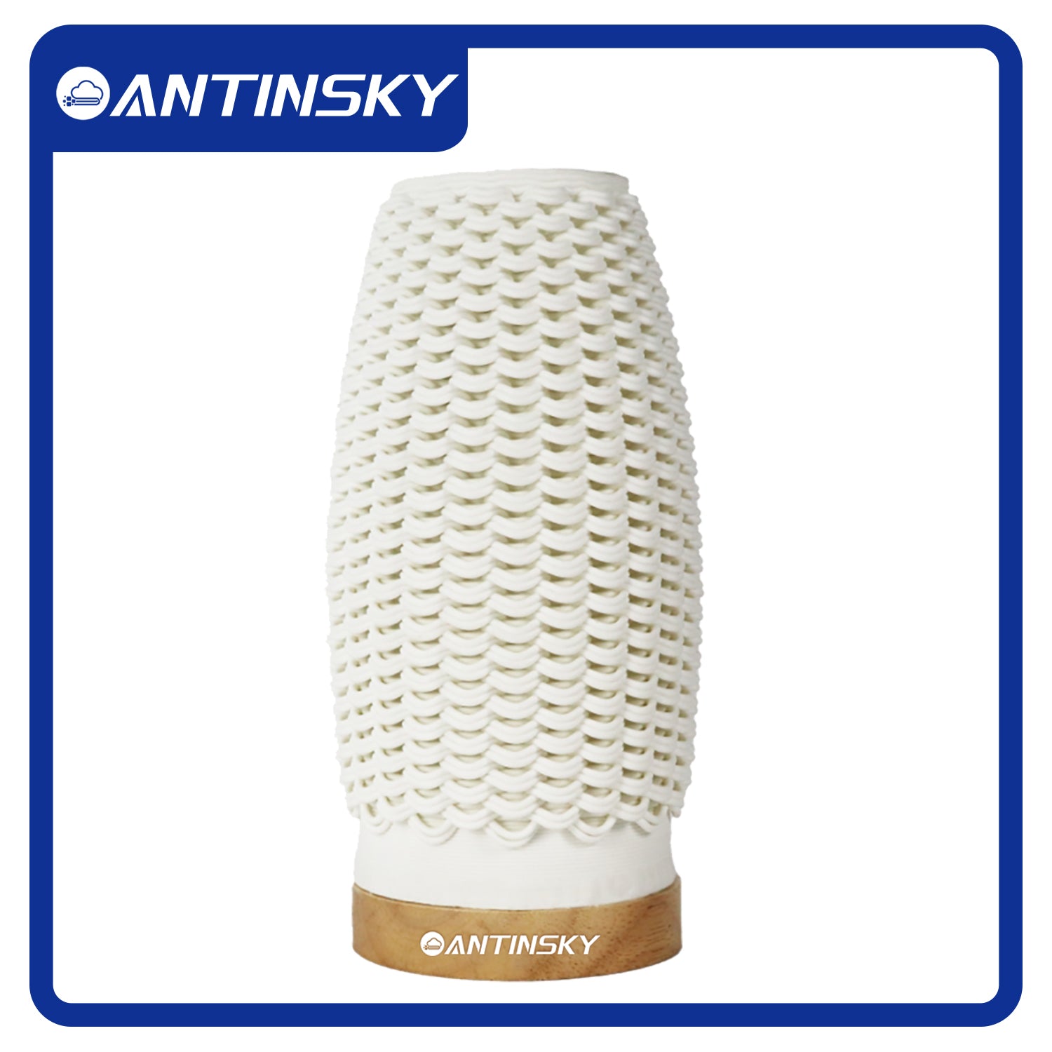 Antinsky Ceramic Lamp