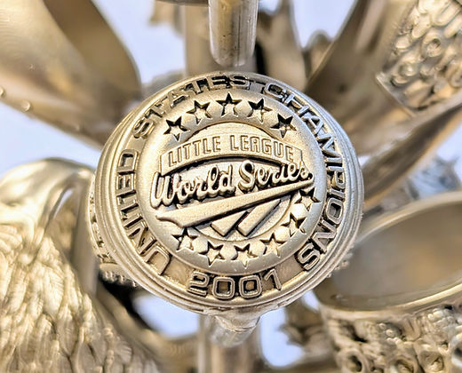 BlueCast X-WAX for mono LCD/DLP