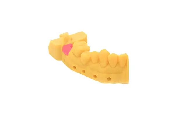 ESUN GM100 Gingiva Mask Resin 1KG with restorative tooth model materials to create 3D flexible gums resin - Antinsky3d