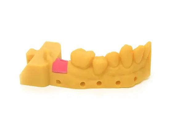 ESUN GM100 Gingiva Mask Resin 1KG with restorative tooth model materials to create 3D flexible gums resin - Antinsky3d