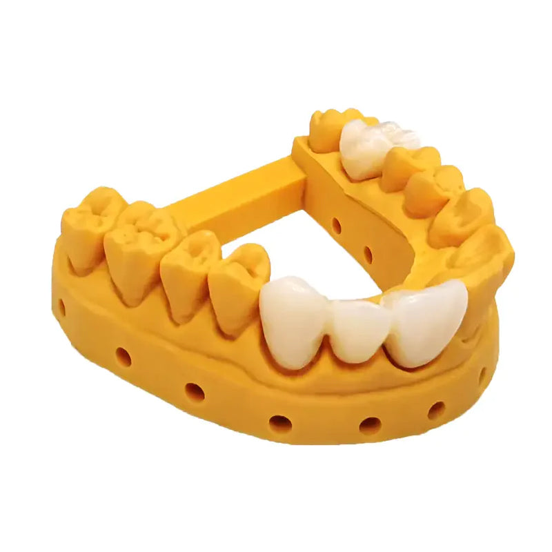 Antinsky Temporary Dental model resin for DLP LCD resin 3d printer 405nm 0.5kg Teeth Textured Appearance
