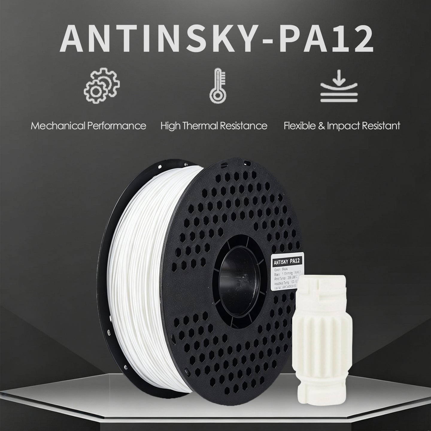 ANTINSKY PA12 3D Filament 1KG
