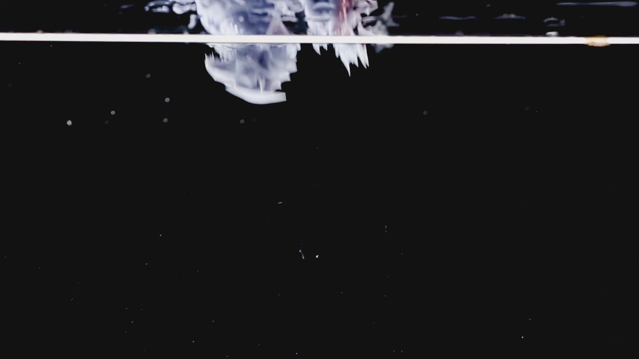 Antinsky Washable Rigid 8k Photopolymer Resin for DLP LCD Resin 3D Printer 405nm High Precision Low Shrinkage High Speed Curing High Strength Easy to Clean High Accuracy Light Gray 1kg