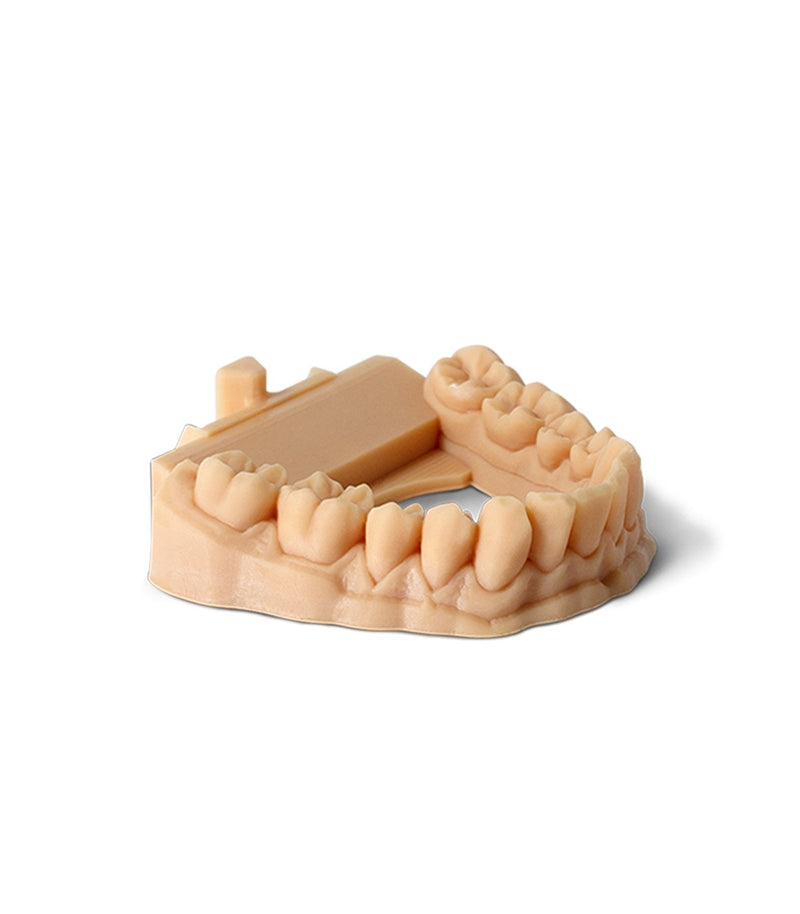 Phrozen Water-Washable Dental Model 3D Printer Resin 1kg for resin 3D Printer LCD 3d printer uv 405nm - Antinsky3d